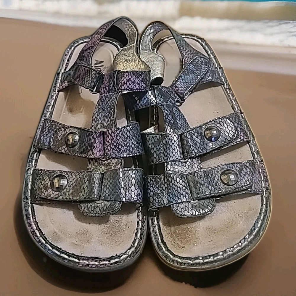 Alegria Kleo Sandal Womens Size 41 US 9.5/10 KLE-726-168 Special Serpent Black